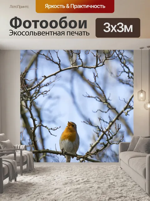 Фотообои Робин Эритакус рубекула