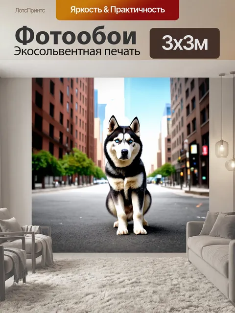 Фотообои хаски в городе, окруженный урбанистическими зданиями