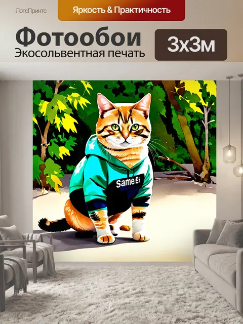 Фотообои кот в комфортабельной спортивной одежде выполняет приседания