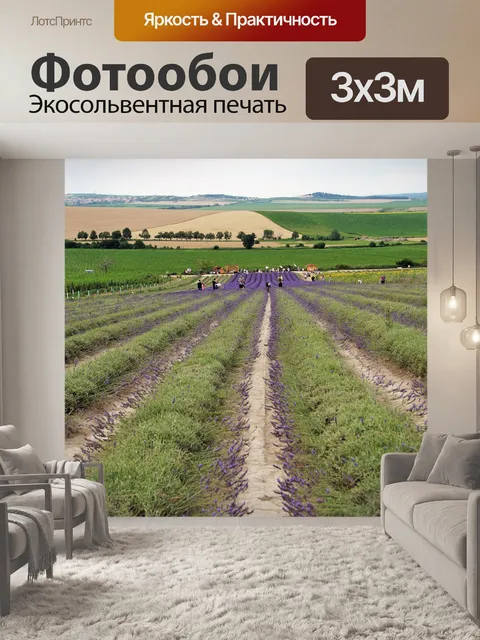 Фотообои Лаванда