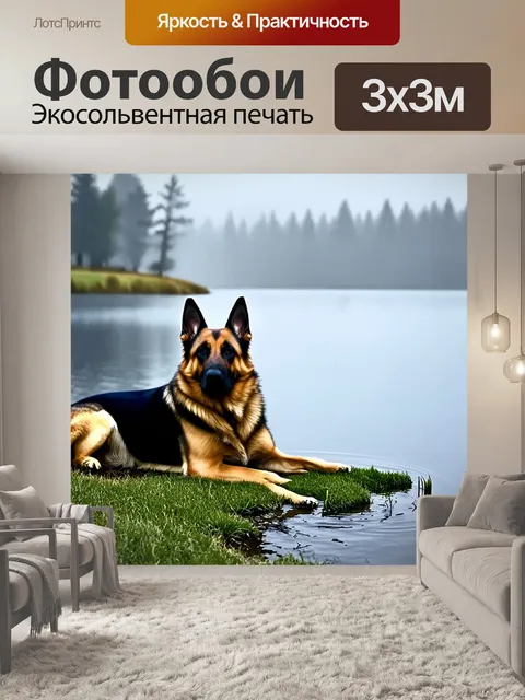 Фотообои описание: сцена с немецкой овчаркой, отдыхающей на берегу озера, покрытого утренним туманом
