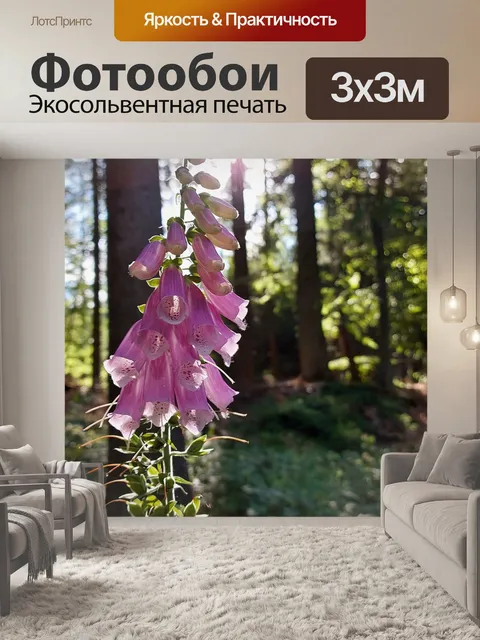 Фотообои Цветы