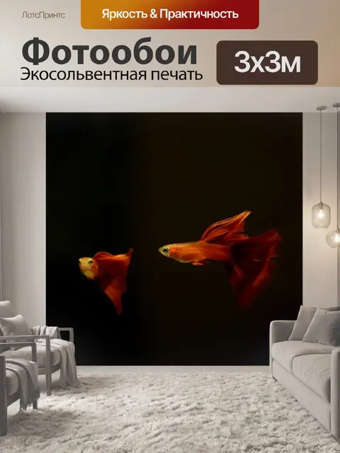 Фотообои Тупой