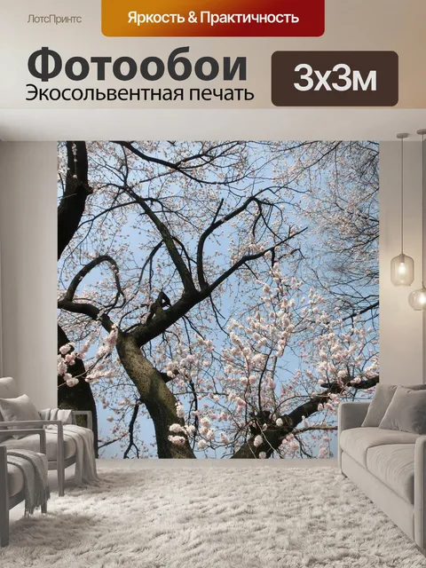 Фотообои Цветение вишни