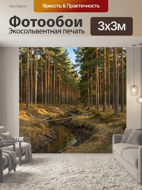 Фотообои Сосновый лес с ручьем