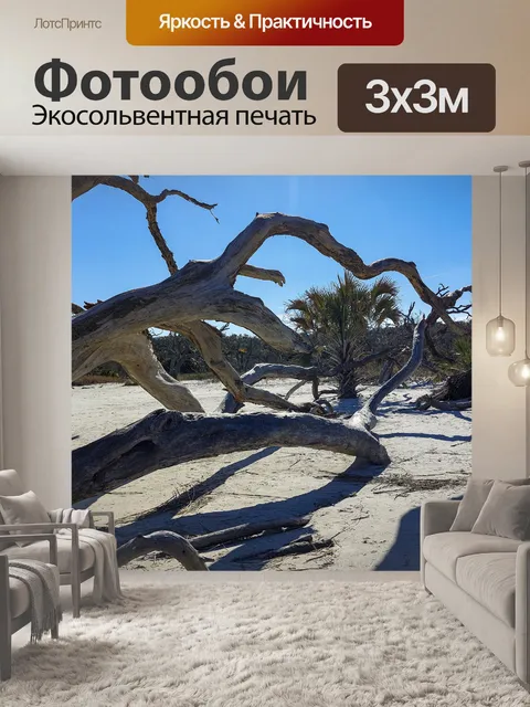 Фотообои коряги пляж