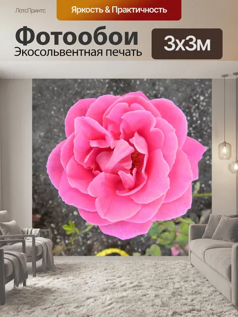 Фотообои Розы