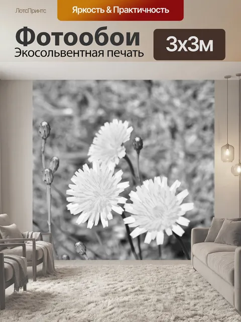 Фотообои Черные и белые цветы одуванчика