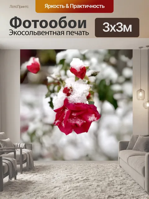 Фотообои Роза
