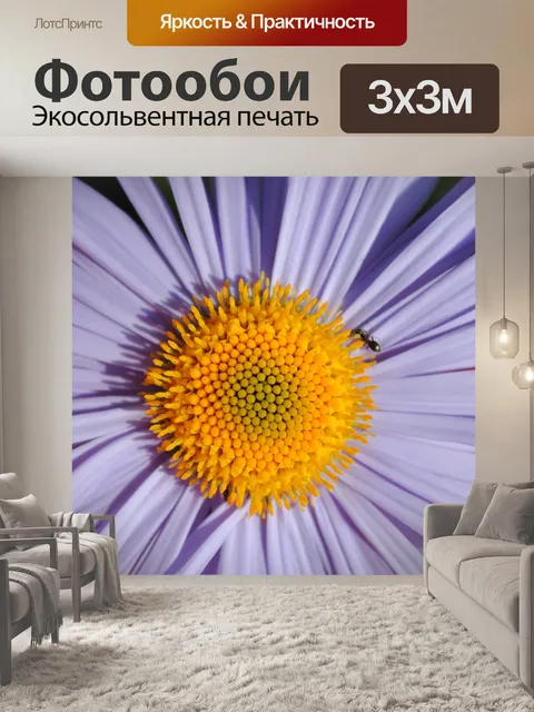 Фотообои Цветок