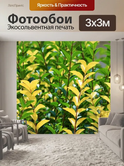 Фотообои Зеленые и бледно-желтые листья