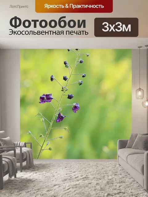 Фотообои Мини цветы