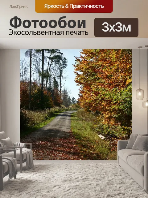 Фотообои Лес
