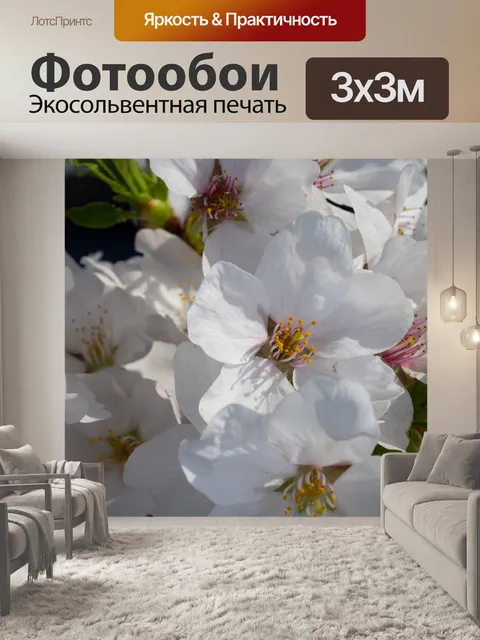 Фотообои Цветы