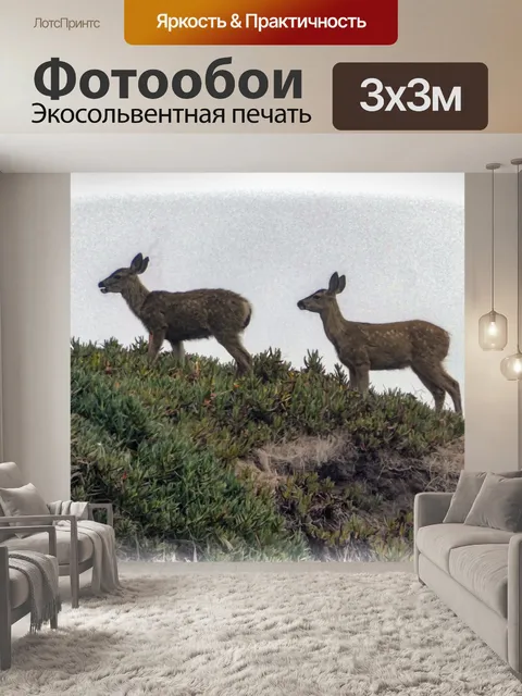 Фотообои Олень на холме