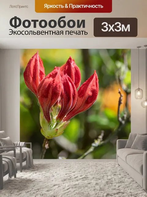 Фотообои Цветы