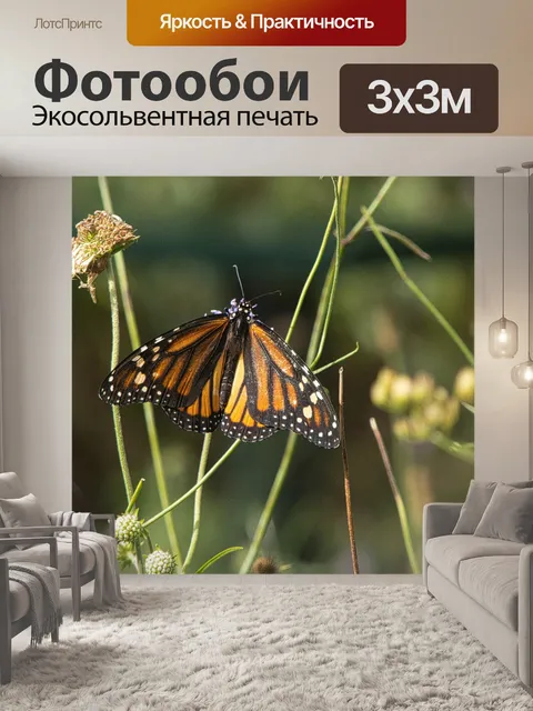 Фотообои Бабочка