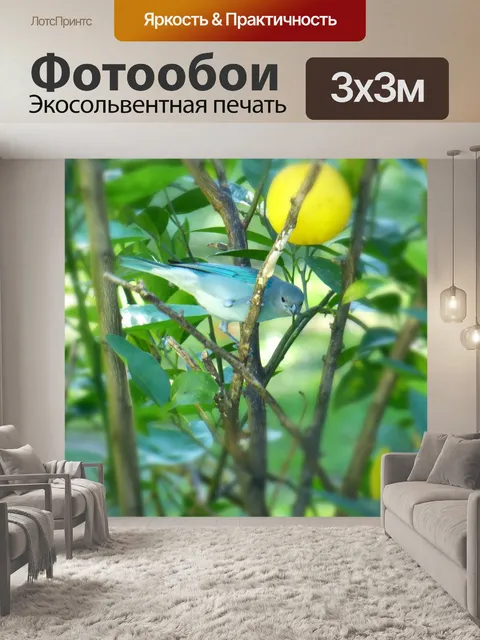 Фотообои Селестино