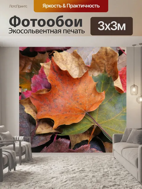 Фотообои Клен