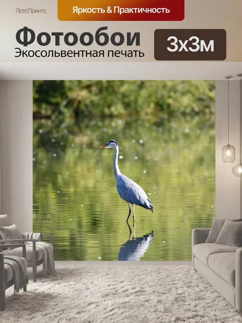 Фотообои Цапля