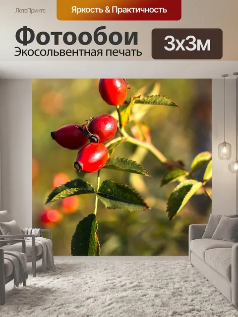 Фотообои Природа