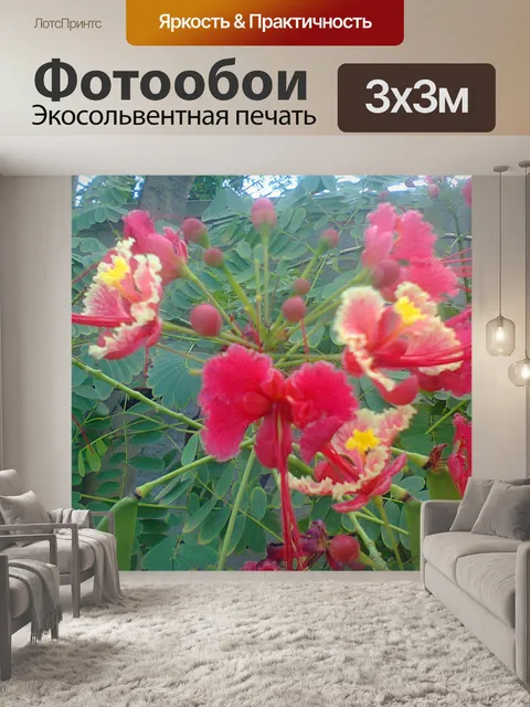 Фотообои Красный цветок