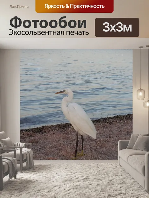 Фотообои Птица