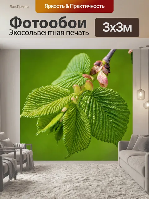 Фотообои Ветвь