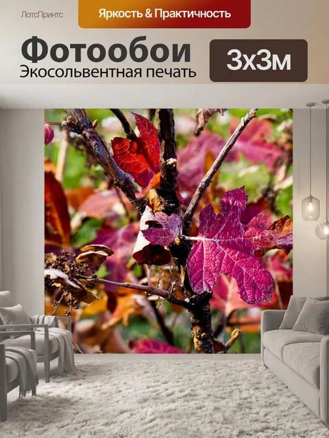 Фотообои Падение листьев дерева