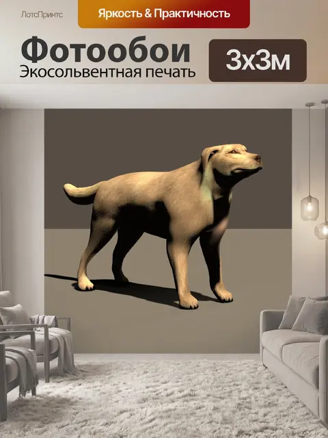 Фотообои 3d Собака