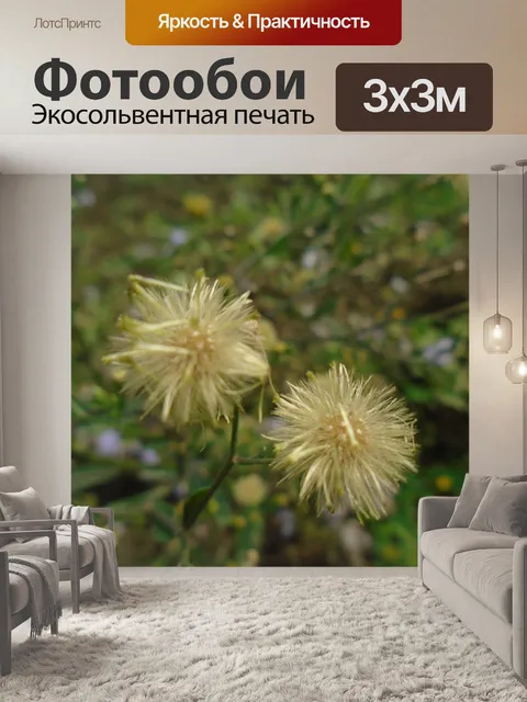 Фотообои Дерево