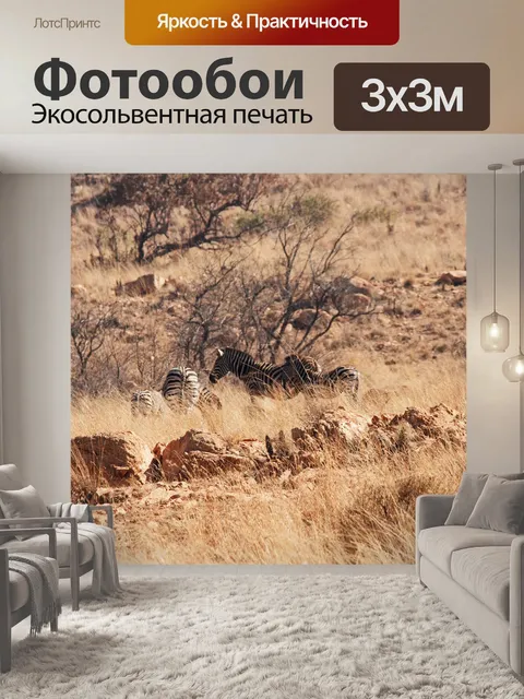 Фотообои группа зебры Берчелла на холме