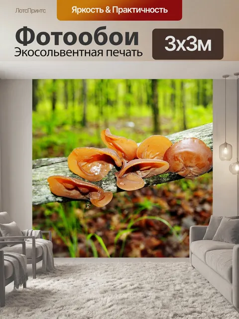 Фотообои Гриб