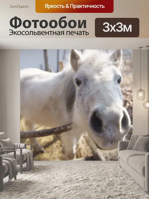 Фотообои Пони