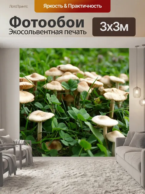 Фотообои Гвоздики швиндлем inge
