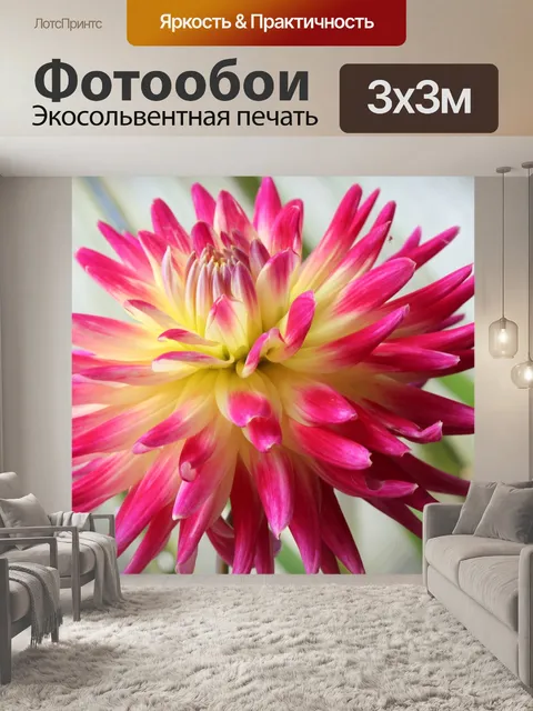 Фотообои Цветы