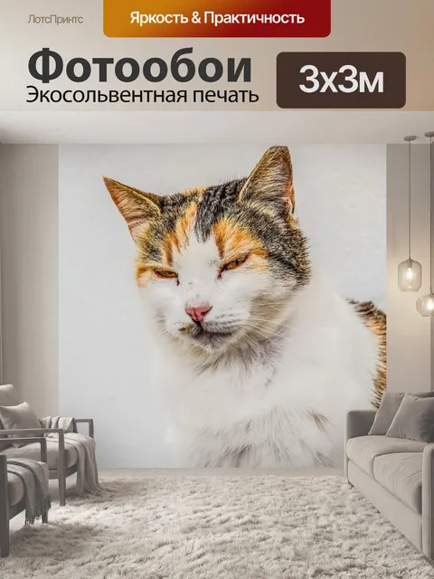 Фотообои Кошка