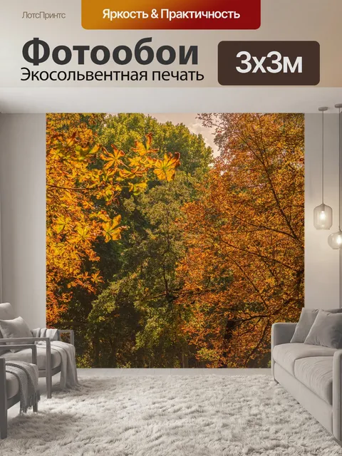 Фотообои Деревья