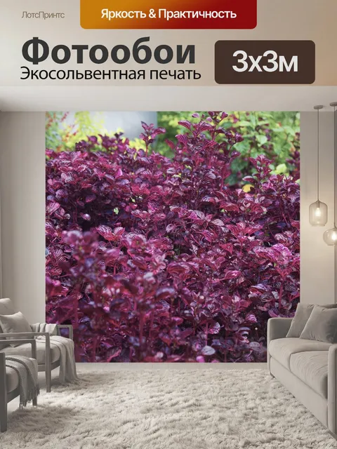 Фотообои Листья