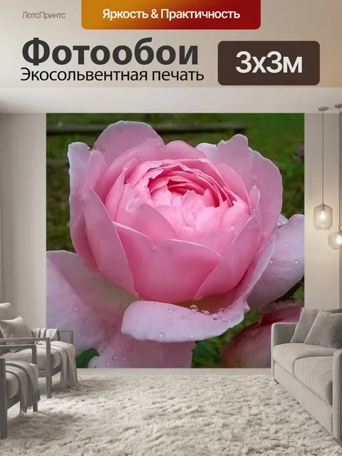 Фотообои Розовый