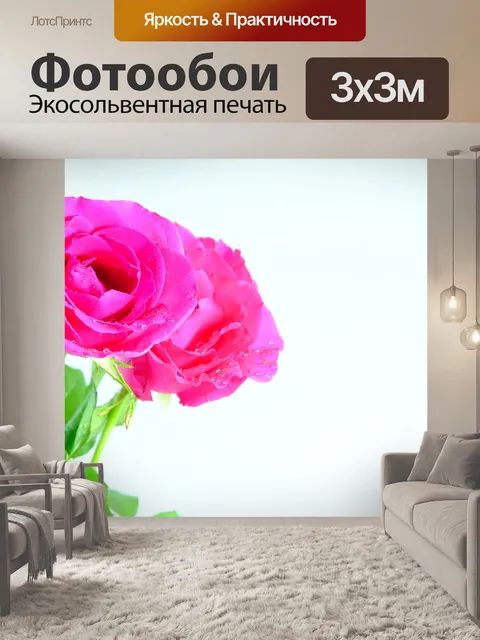Фотообои Роза