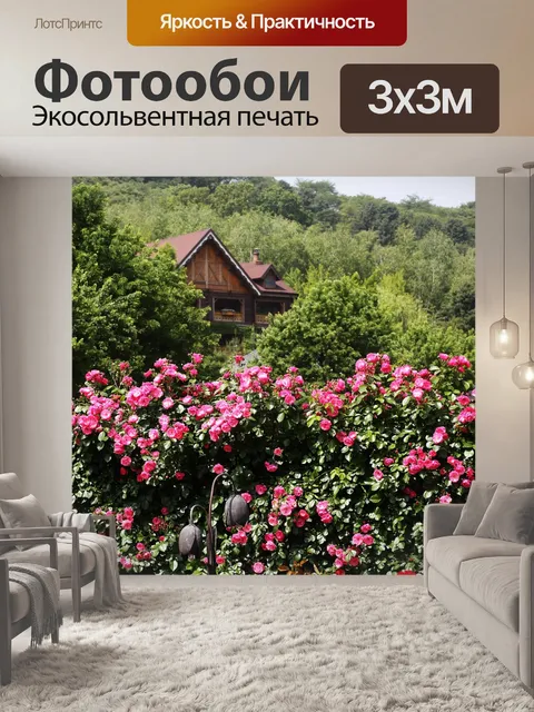 Фотообои Роза
