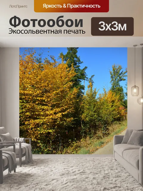 Фотообои Лес