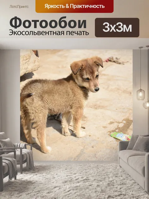 Фотообои Щенок