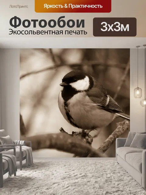 Фотообои Большая синица