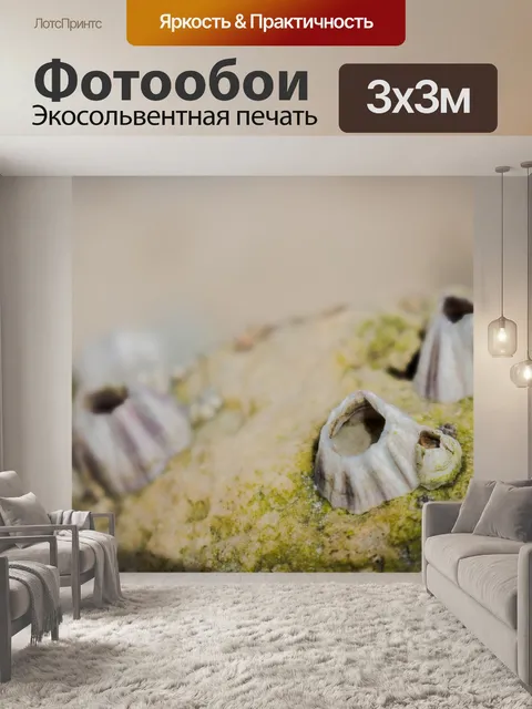Фотообои Камень
