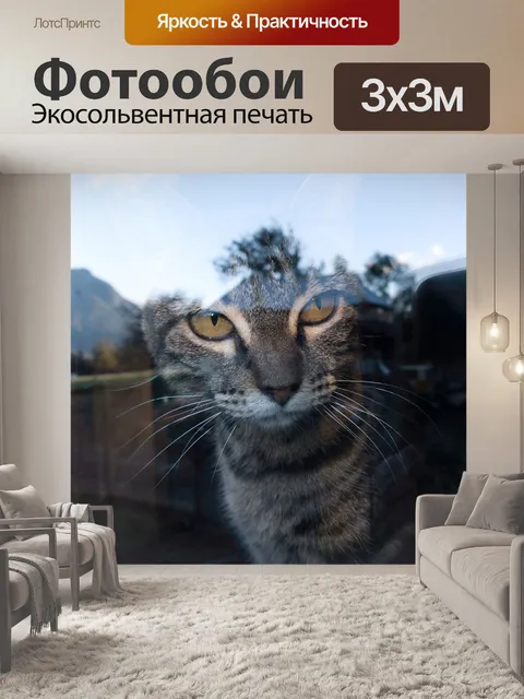 Фотообои Отражение