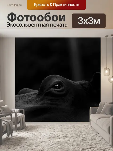 Фотообои Бегемотик