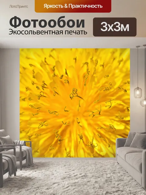 Фотообои Одуванчик