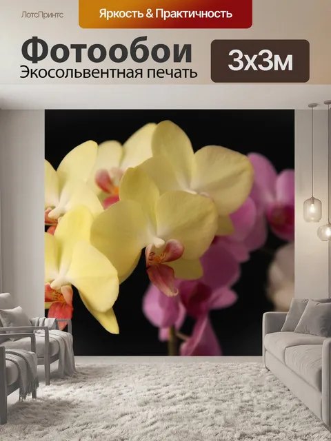 Фотообои Орхидеи